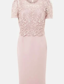 Dresses^Phase Eight Isabella Lace Midi Dress Antique Rose