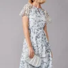 Dresses^Phase Eight Marlene Floral Fit And Flare Dress Mineral